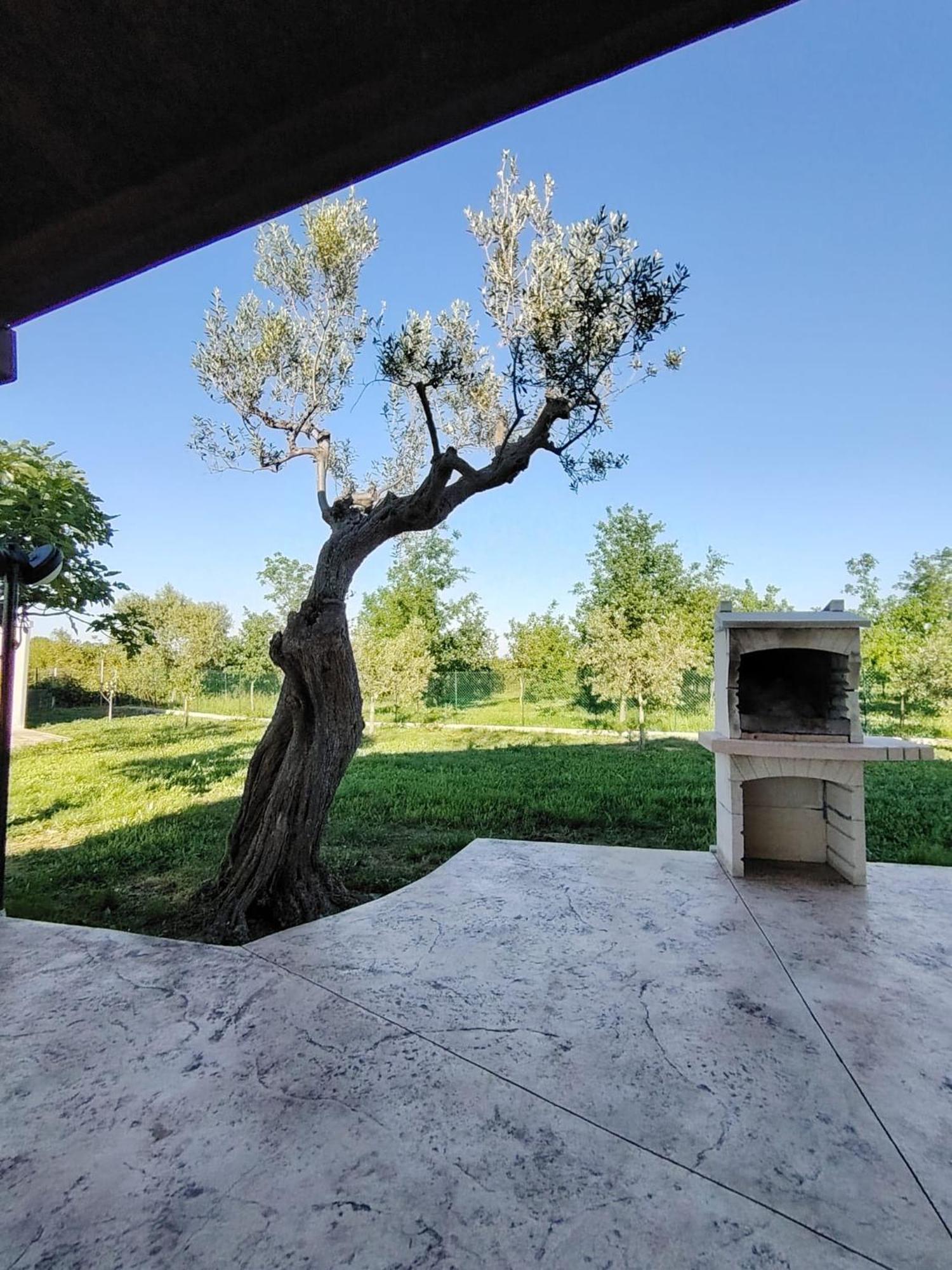 Casale Nel Verde San Vito Chietino Exterior foto